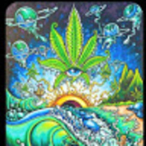 Meet your Posher, Annalysa